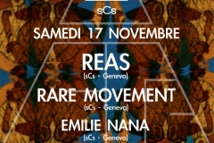 2012.11.17_Reas_Ruche